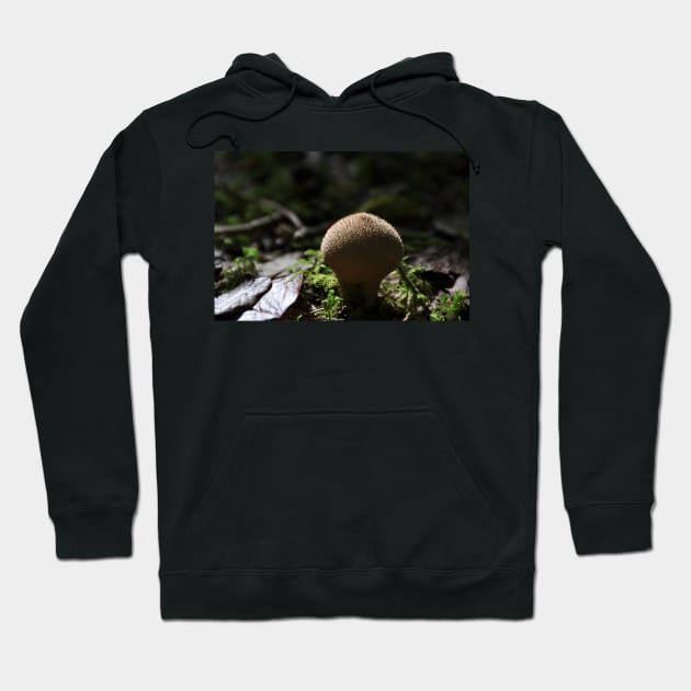 Fungi Hoodie by declancarr